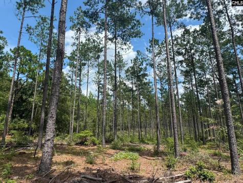 Beaver Creek Road Swansea SC 29160