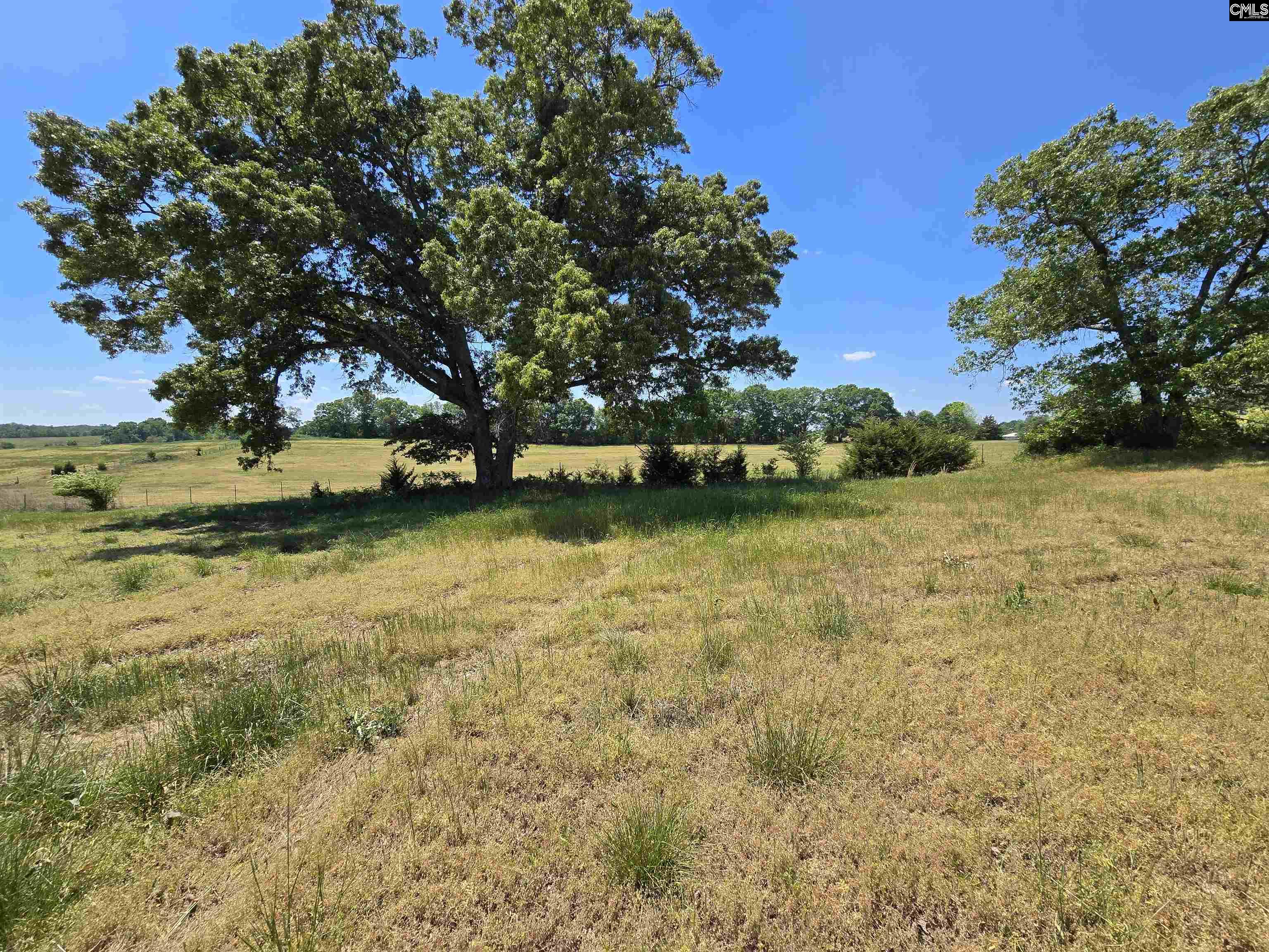 542 Pea Ridge Highway Jonesville SC 29353