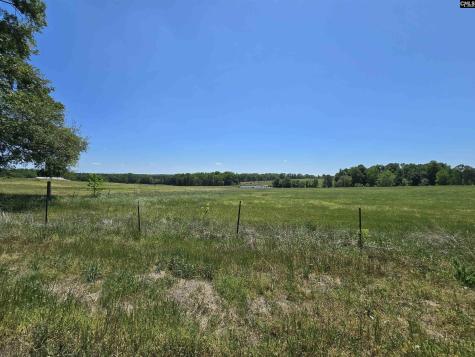 542 Pea Ridge Highway Jonesville SC 29353