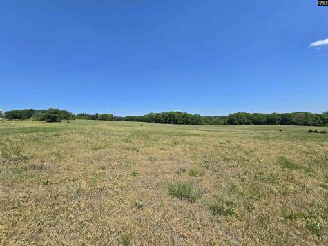 542 Pea Ridge Highway Jonesville SC 29353
