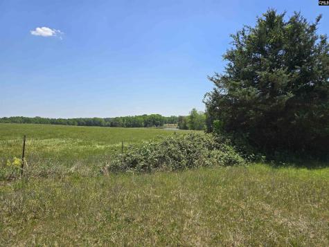 542 Pea Ridge Highway Jonesville SC 29353