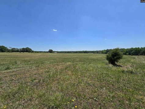 542 Pea Ridge Highway Jonesville SC 29353