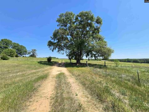 542 Pea Ridge Highway Jonesville SC 29353