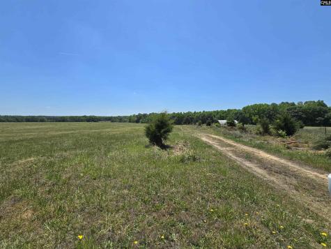 542 Pea Ridge Highway Jonesville SC 29353