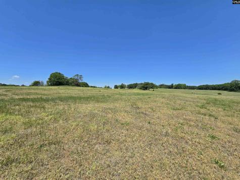 542 Pea Ridge Highway Jonesville SC 29353