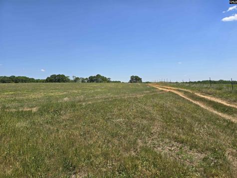 542 Pea Ridge Highway Jonesville SC 29353