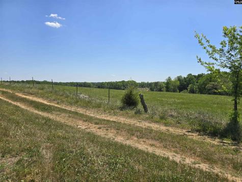 542 Pea Ridge Highway Jonesville SC 29353