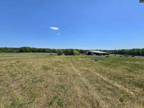 542 Pea Ridge Highway Jonesville SC 29353
