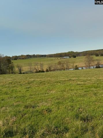 542 Pea Ridge Highway Jonesville SC 29353