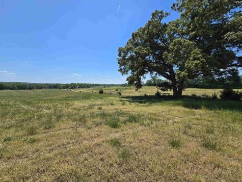 542 Pea Ridge Highway Jonesville SC 29353