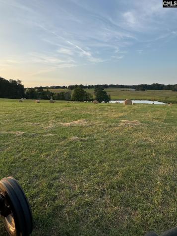 542 Pea Ridge Highway Jonesville SC 29353