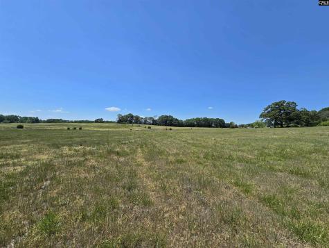 542 Pea Ridge Highway Jonesville SC 29353