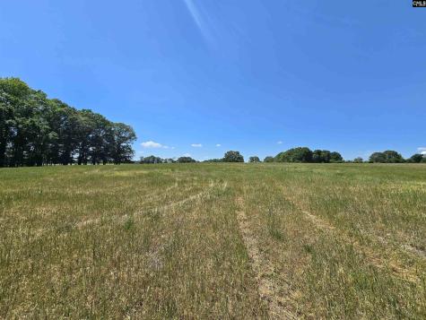 542 Pea Ridge Highway Jonesville SC 29353