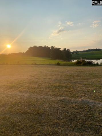 542 Pea Ridge Highway Jonesville SC 29353