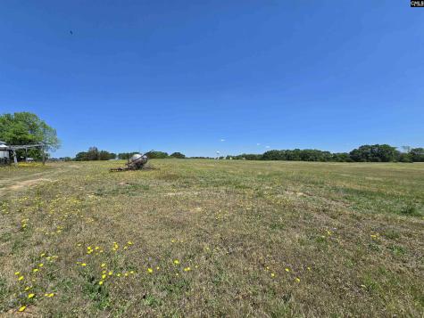 542 Pea Ridge Highway Jonesville SC 29353