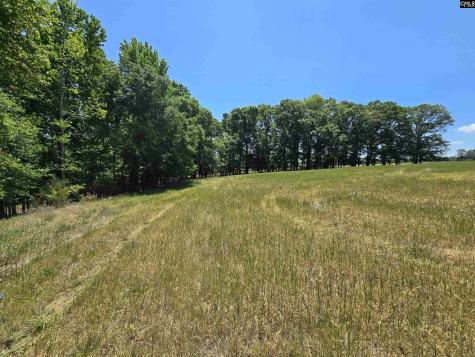 542 Pea Ridge Highway Jonesville SC 29353