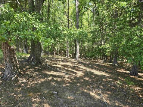 542 Pea Ridge Highway Jonesville SC 29353