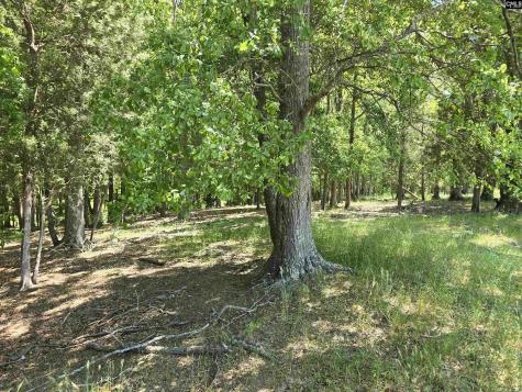 542 Pea Ridge Highway Jonesville SC 29353