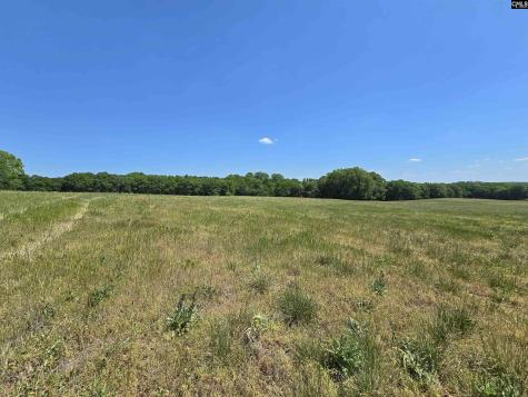 542 Pea Ridge Highway Jonesville SC 29353