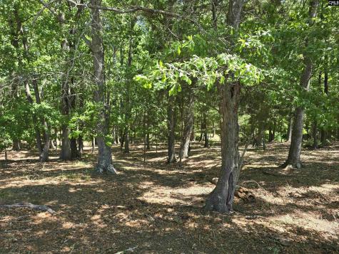542 Pea Ridge Highway Jonesville SC 29353