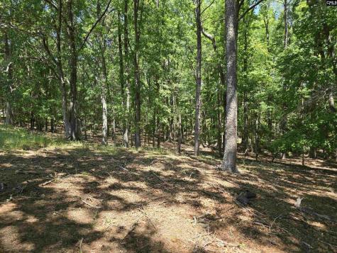 542 Pea Ridge Highway Jonesville SC 29353