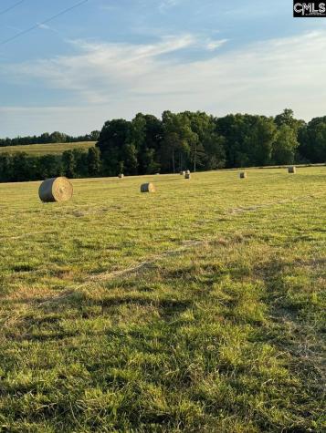542 Pea Ridge Highway Jonesville SC 29353