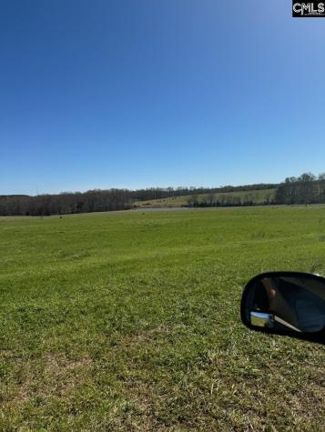 542 Pea Ridge Highway Jonesville SC 29353