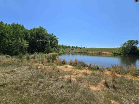 542 Pea Ridge Highway Jonesville SC 29353