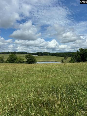 542 Pea Ridge Highway Jonesville SC 29353