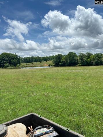 542 Pea Ridge Highway Jonesville SC 29353