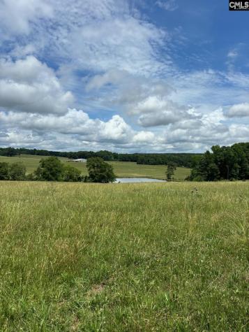 542 Pea Ridge Highway Jonesville SC 29353