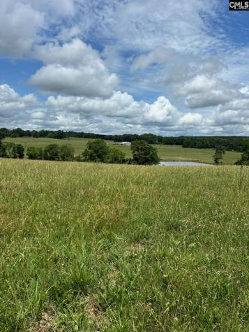 542 Pea Ridge Highway Jonesville SC 29353