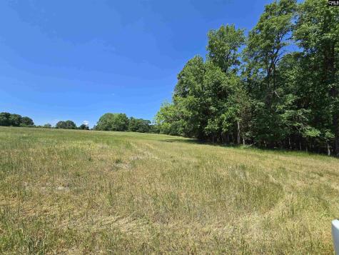 542 Pea Ridge Highway Jonesville SC 29353