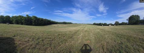 542 Pea Ridge Highway Jonesville SC 29353