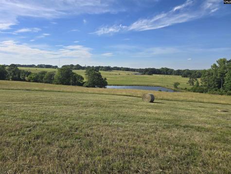 542 Pea Ridge Highway Jonesville SC 29353