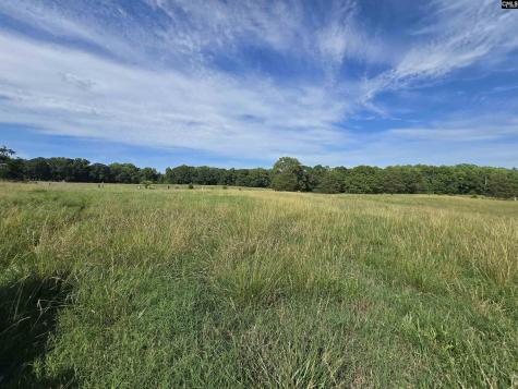 542 Pea Ridge Highway Jonesville SC 29353