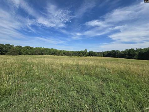 542 Pea Ridge Highway Jonesville SC 29353