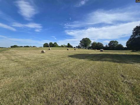 542 Pea Ridge Highway Jonesville SC 29353