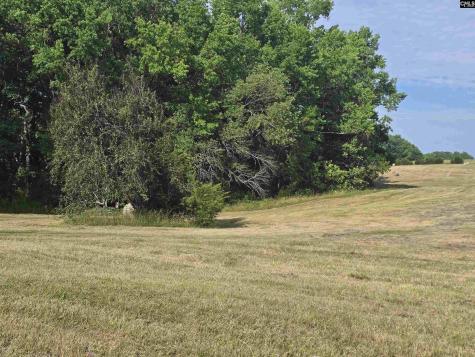 542 Pea Ridge Highway Jonesville SC 29353