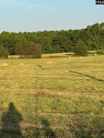 542 Pea Ridge Highway Jonesville SC 29353