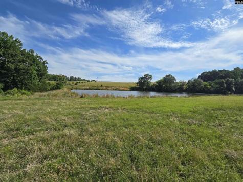 542 Pea Ridge Highway Jonesville SC 29353