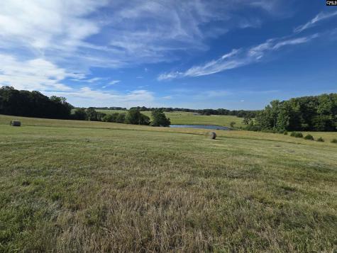 542 Pea Ridge Highway Jonesville SC 29353