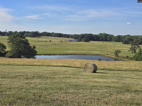 542 Pea Ridge Highway Jonesville SC 29353