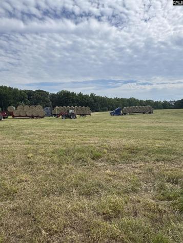 542 Pea Ridge Highway Jonesville SC 29353