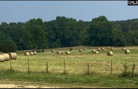 542 Pea Ridge Highway Jonesville SC 29353