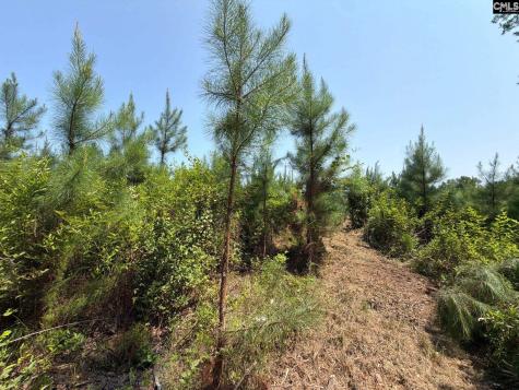 Btf 5 Bradley Trail Jefferson SC 29067