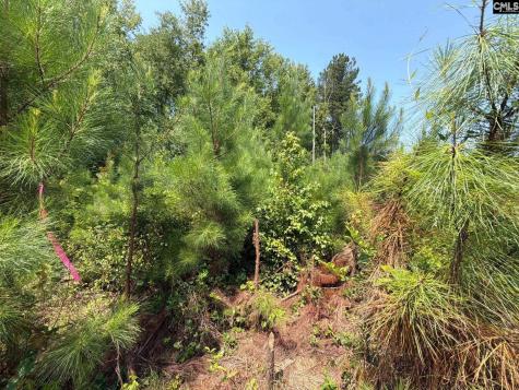 Btf 5 Bradley Trail Jefferson SC 29067