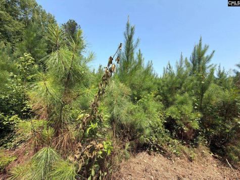 Btf 5 Bradley Trail Jefferson SC 29067