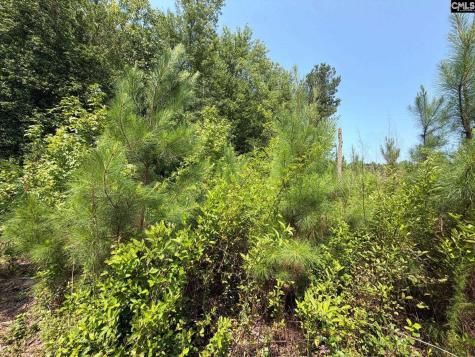 Btf 5 Bradley Trail Jefferson SC 29067