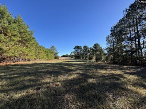 Sc 215 Highway Jenkinsville SC 29065